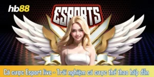 Cá cược Esport live - Trải nghiệm cá cược thể thao hấp dẫn 